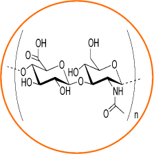 pulsar oxygène barophorèse - acide hyaluronique